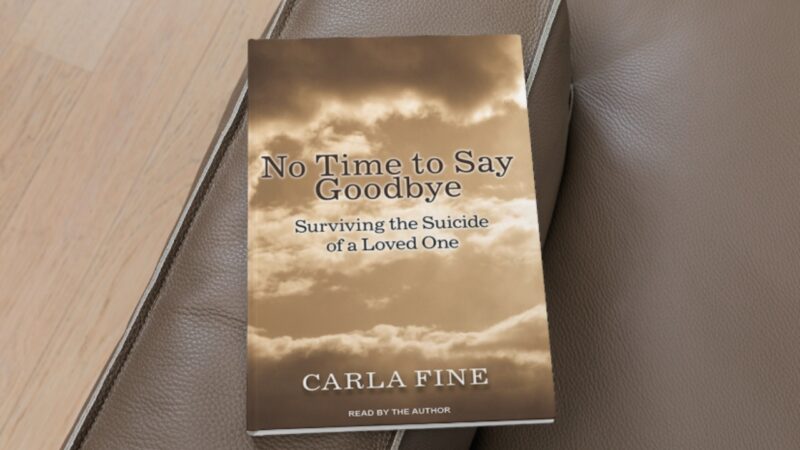 No time to say goodbye surviving the suicide of a loved one by carla fine